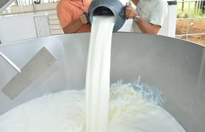 Cláudia de Jesus assume presidência da CPI do Leite e reforça investigação sobre crise no setor