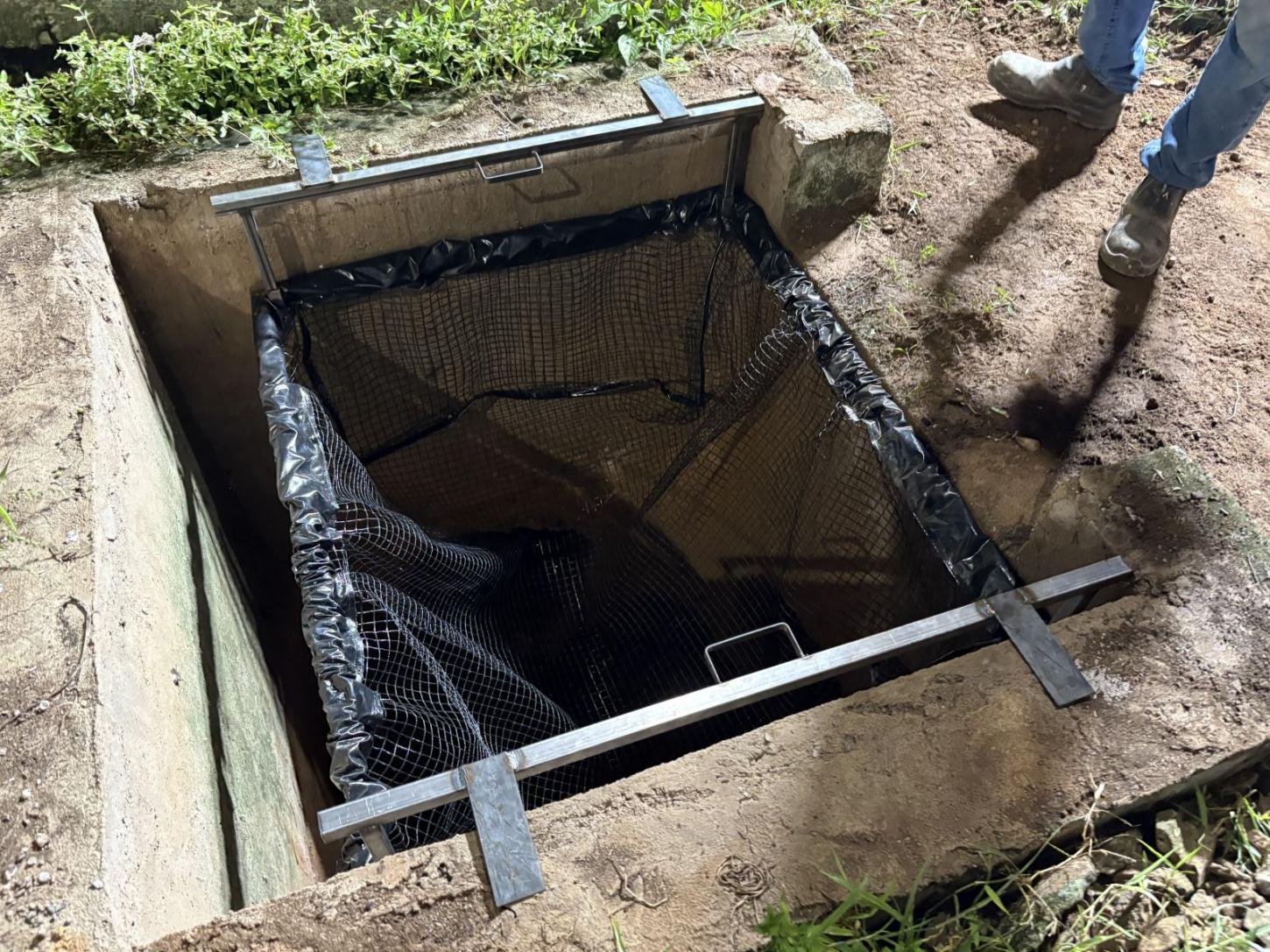 Ecobueiros passam por testes de resistência