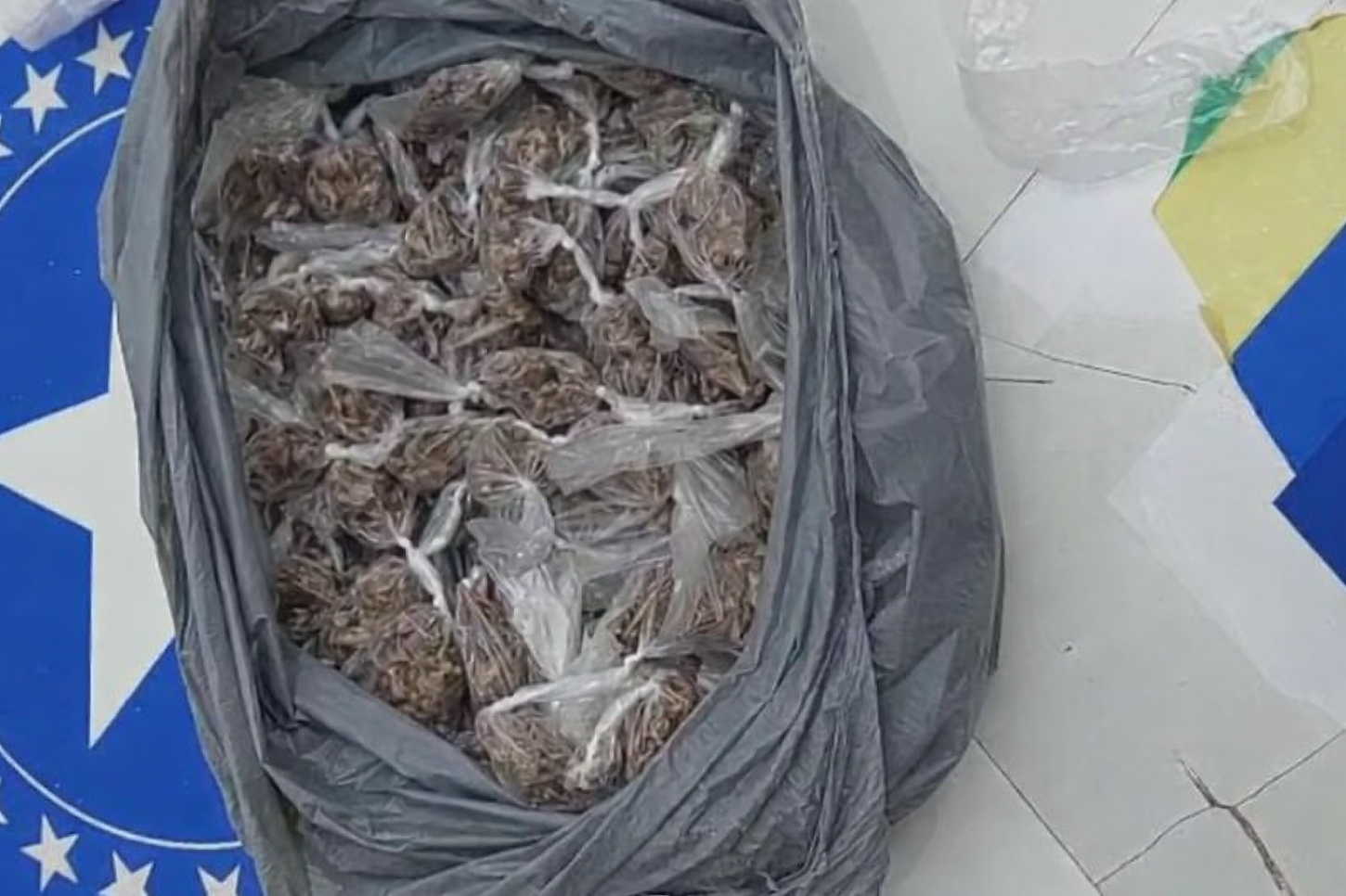 Equipe do 5º Batalhão apreende drogas no residencial Orgulho do Madeira