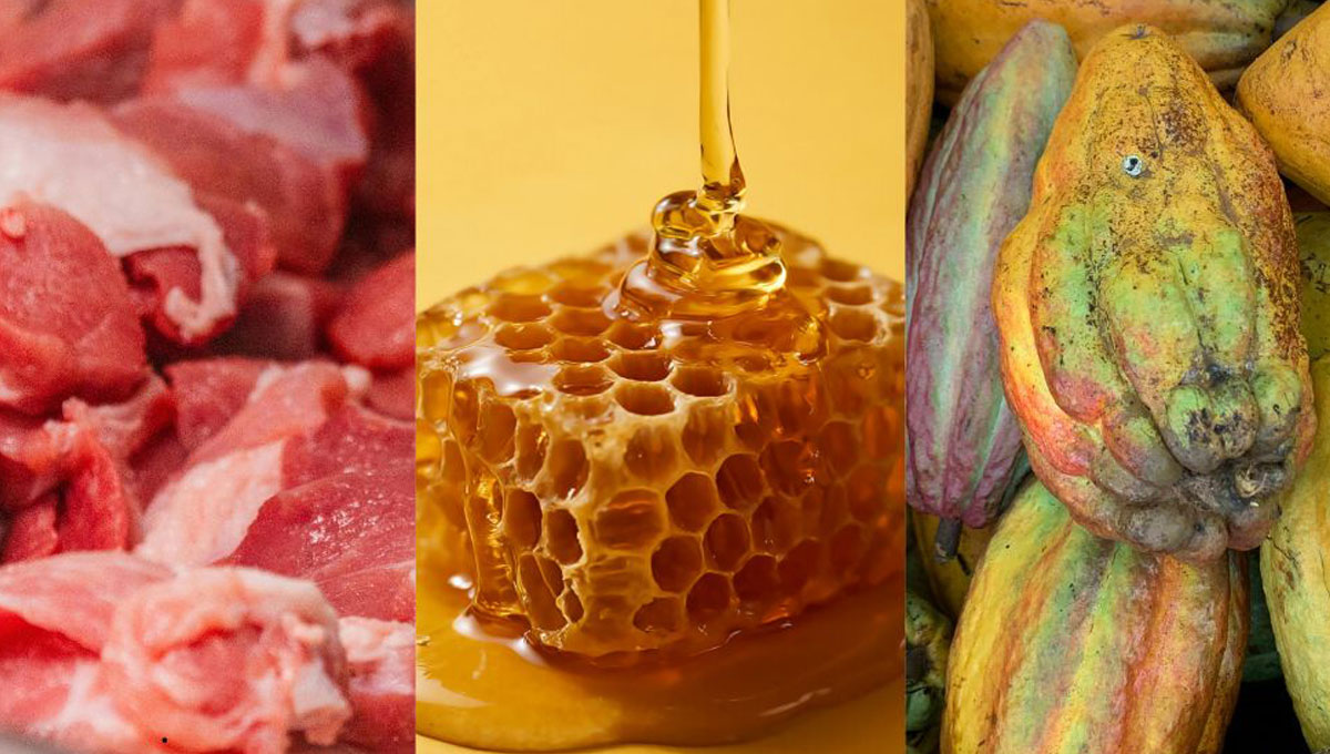 Governo define novos membros de câmaras setoriais da carne, mel, peixe e cacau de Rondônia