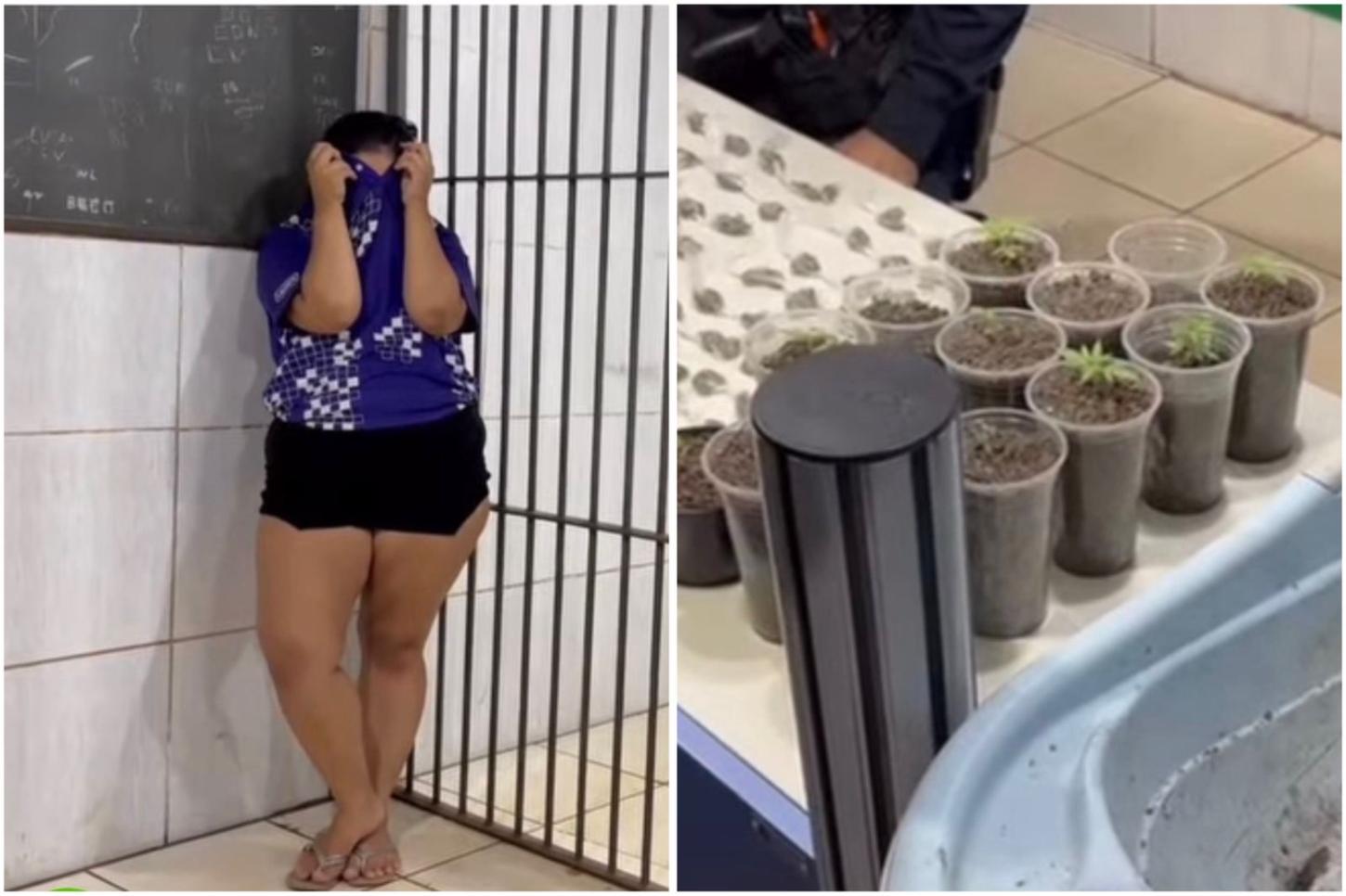 Plantando maconha: Jovem é presa por tráfico de drogas no Orgulho do Madeira, em Porto Velho