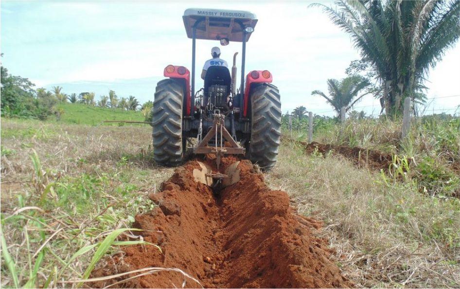 Recurso destinado por Cláudia de Jesus chega à associação de produtores rurais de Buritis