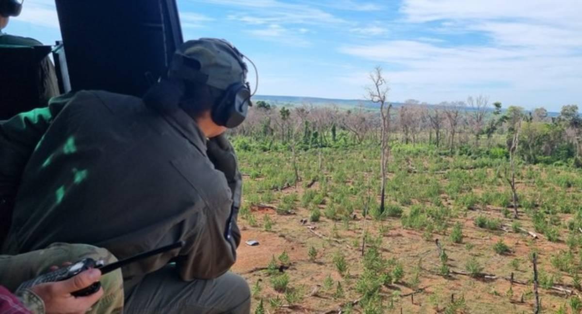 Brasil e Paraguai iniciam 54ª fase da Operação Nova Aliança contra o narcotráfico