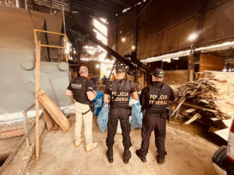 PF Incinera mais de 710kg de drogas em Rondônia