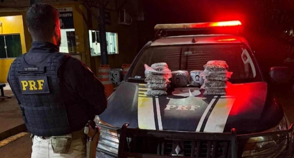 PRF apreende mais de 10 kg de Skunk na BR-425