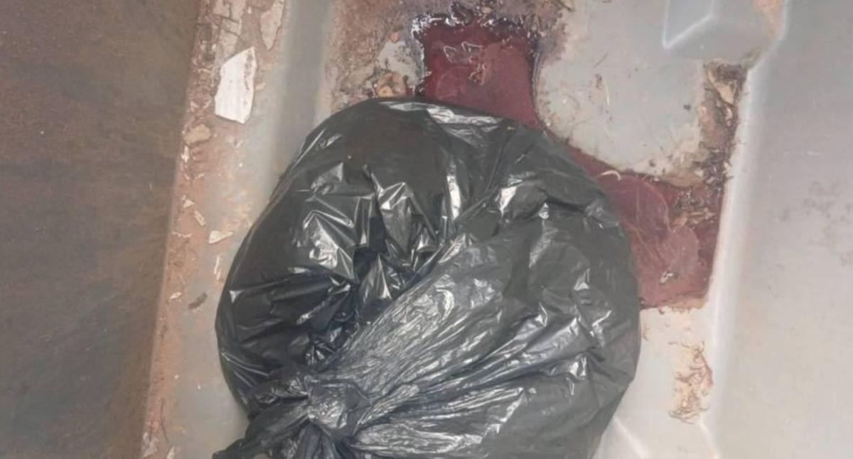 Saco de lixo com restos de carne causa forte odor e mobiliza escola em RO