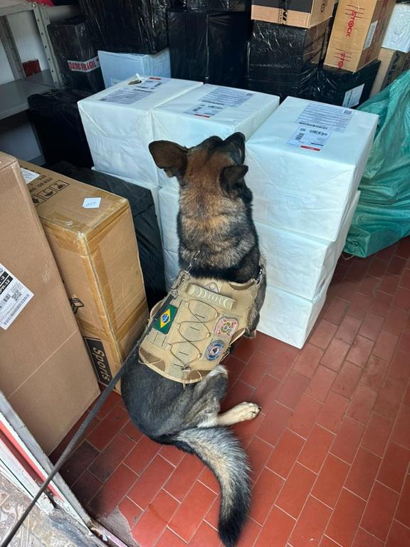 PF faz apreensão de 130 kg de maconha em Foz do Iguaçu/PR