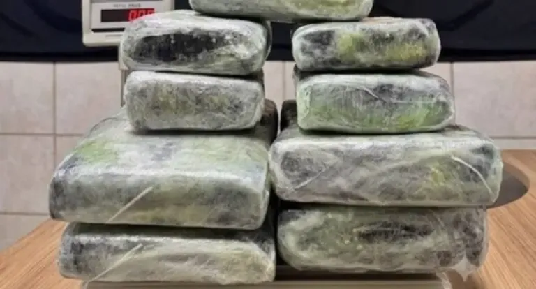 Passageira é presa com 13 kg de skunk no aeroporto de Porto Velho
