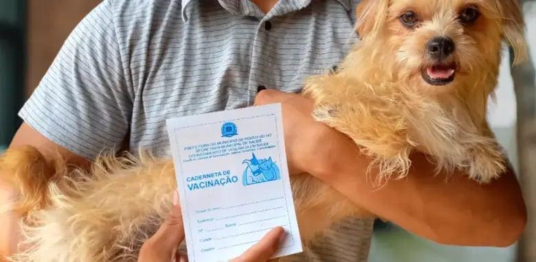 Prefeitura de Porto Velho divulga 102 pontos de vacinação antirrábica para o Dia D do 'Setembro Caramelo'