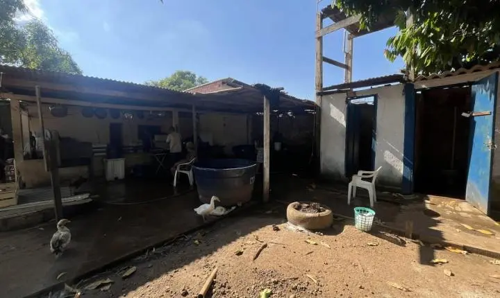 13 idosos são resgatados de instituição irregular na zona Leste
