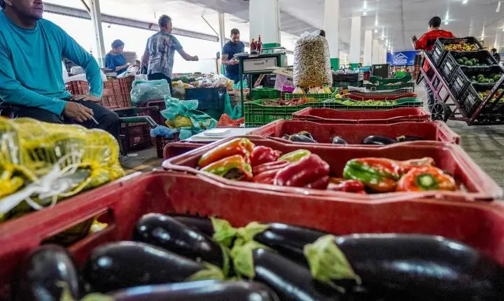 Campanha busca engajamento para reduzir desperdício de alimento