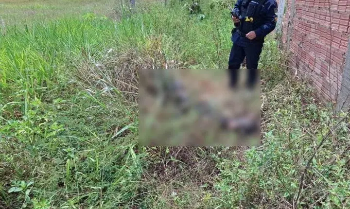 Corpo com mãos atadas e carbonizado é encontrado em matagal na zona Leste