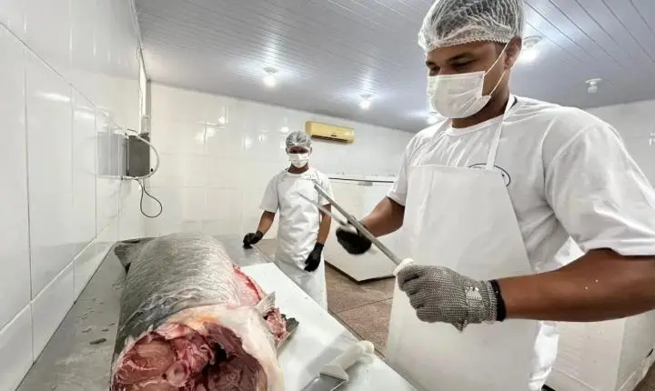 Do SIM para o Brasil: regularização abre mercado e fortalece agroindústrias de PVH