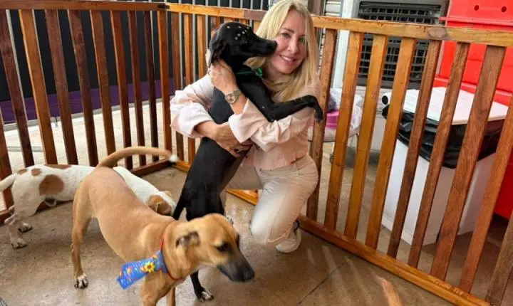 Leis de Ieda Chaves ampliam proteção animal e apoio a cuidadores em Rondônia
