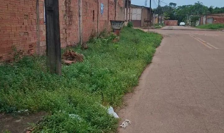 Pedido de providência busca limpeza e roçagem no bairro Cidade Nova