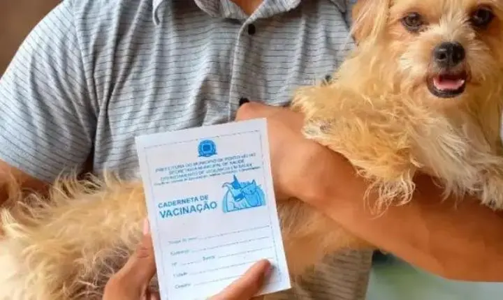 Prefeitura de Porto Velho divulga 102 pontos de vacinação antirrábica para o Dia D do 'Setembro Caramelo'