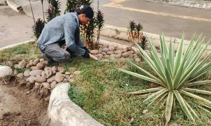 Prefeitura inicia manutenção periódica dos jardins de chuva de Porto Velho