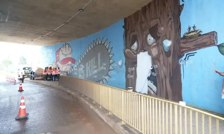 Prefeitura revitaliza viadutos de Porto Velho com cores, arte e paisagismo